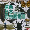 【07/2月・ＮＥＷ】★原色シリーズ・原色日本昆虫図鑑III
