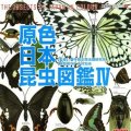 【07/8月・ＮＥＷ】★原色シリーズ・原色日本昆虫図鑑IV
