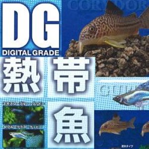 画像: 【10/6月・発売中】★デジタルグレードシリーズ DG 熱帯魚