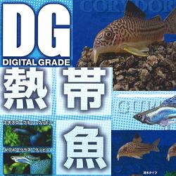DG 熱帯魚